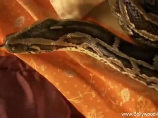 Bollywood nus: bonita lassie provocação com serpente bollywood estilo